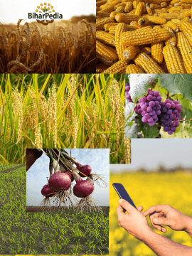Agriculture