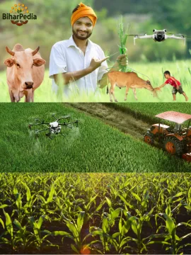 KrishiPedia HomePage First KrishiPedia HomePage First