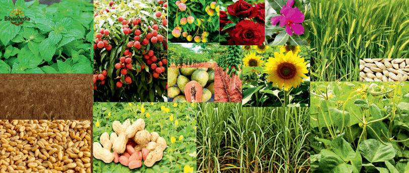 April Month farming pic April Month farming
