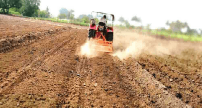 Preparation of field