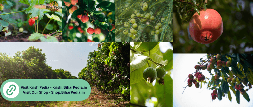 January–February Horticulture