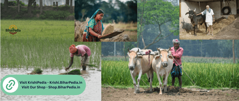 Natural Farming -KrishiPedia BiharPedia